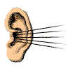 Oreja GIF